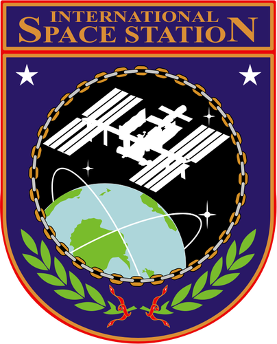 Vetor desenho da insígnia ISS